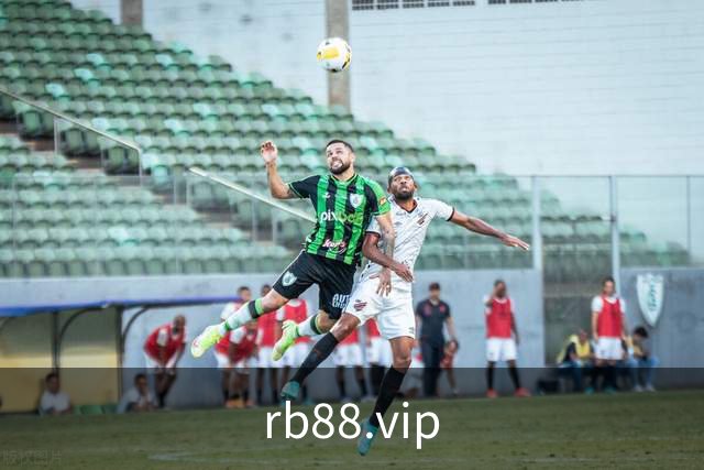 rb88.vip公司简介展示图